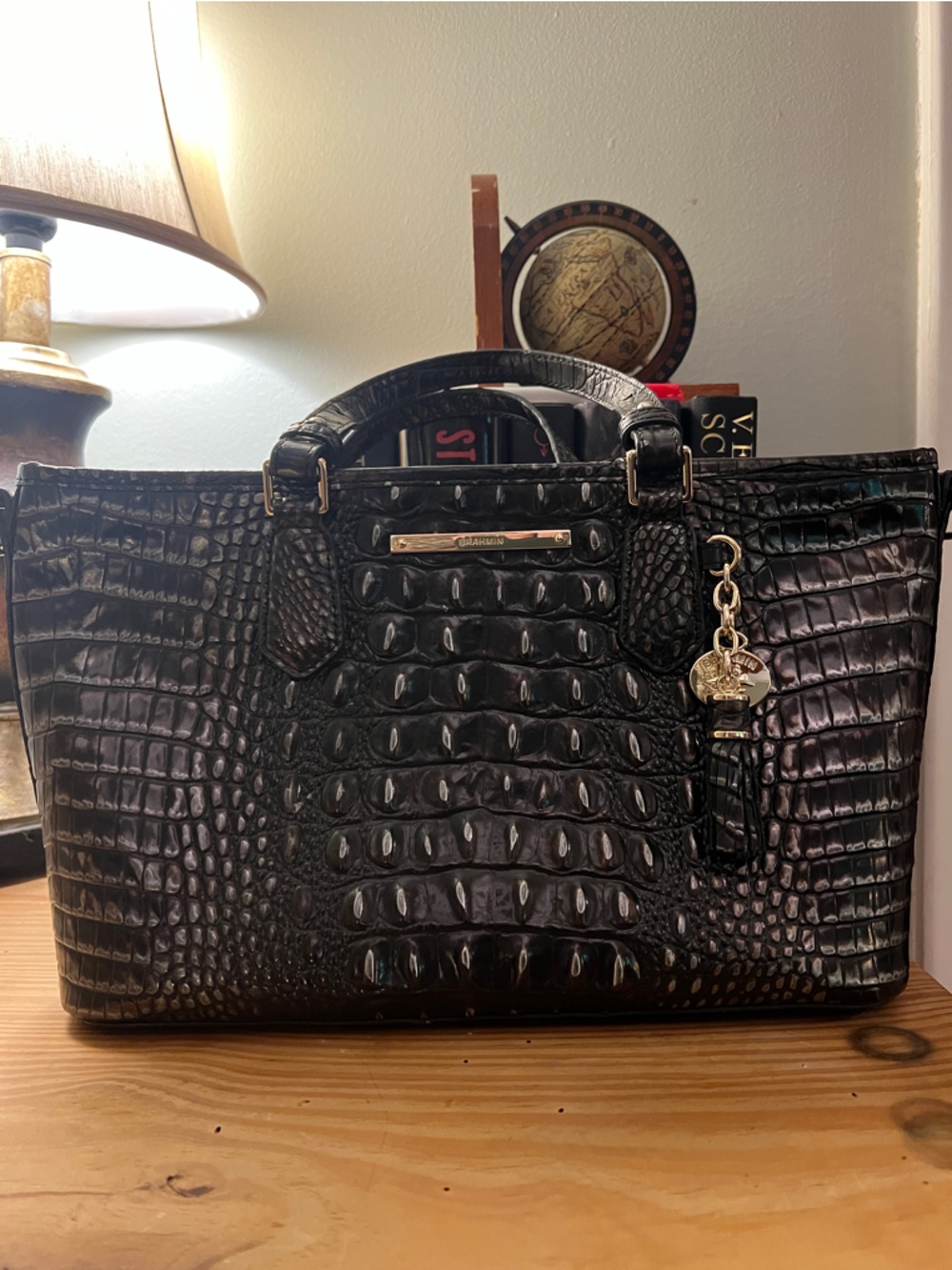 Brahmin Mini Asher (dark brown not black)